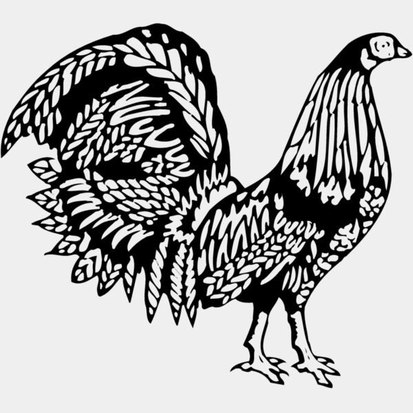 CHICK013 Thumbnail