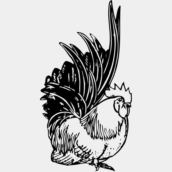 CHICK015 Thumbnail