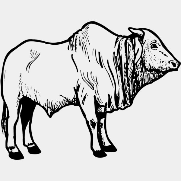 COW021 Thumbnail