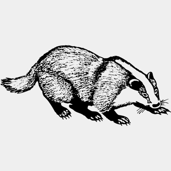 BADGER03 Thumbnail
