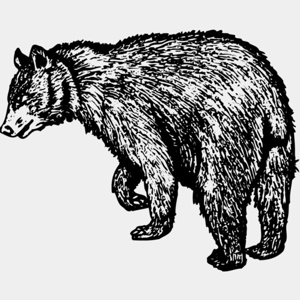 BEAR011 Thumbnail