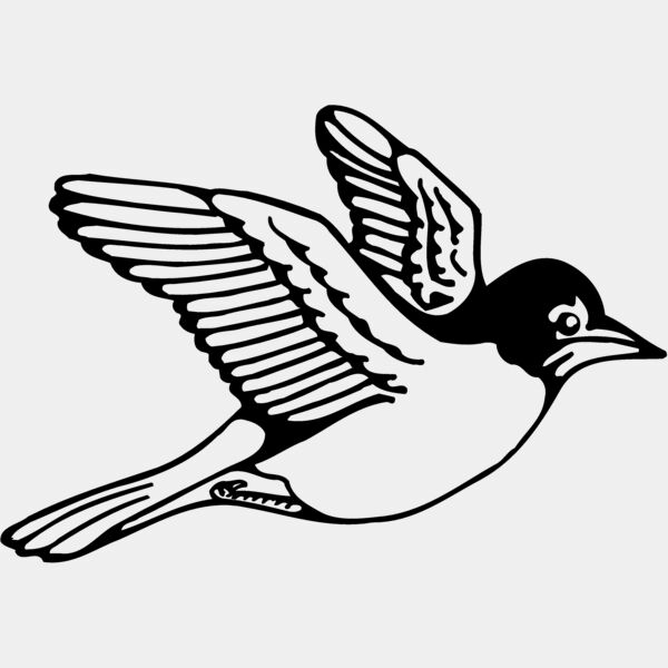 BIRD039 Thumbnail