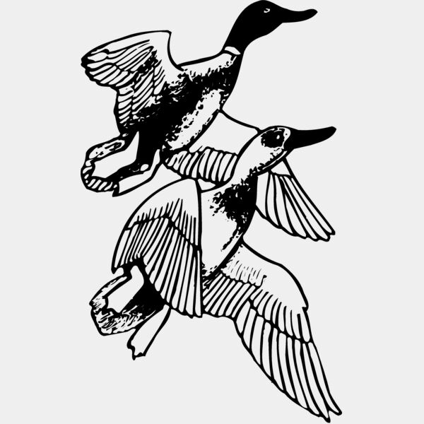 BIRD078 Thumbnail