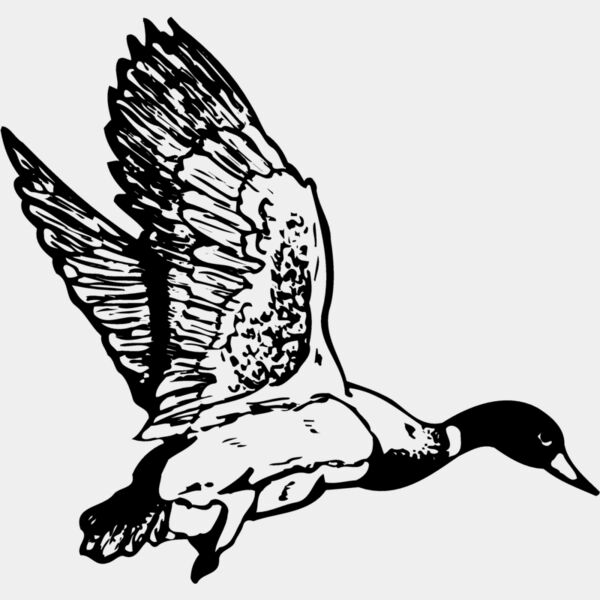 BIRD087 Thumbnail