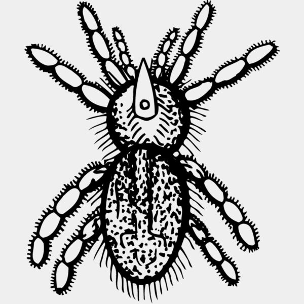 SPIDER05 Thumbnail