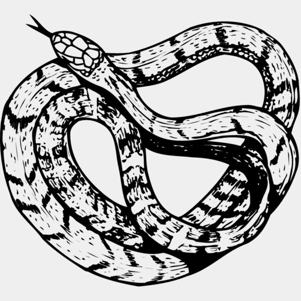 SNAKE003 Thumbnail