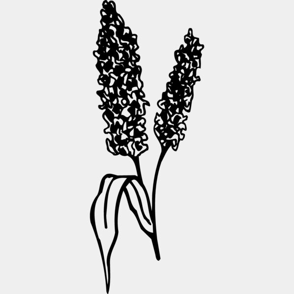 GRAIN011 Thumbnail