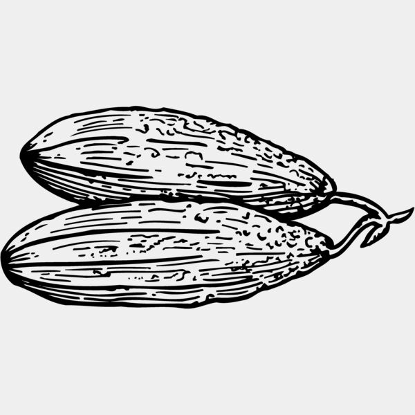 VEG005 Thumbnail