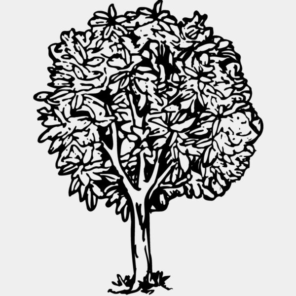TREE0014 Thumbnail
