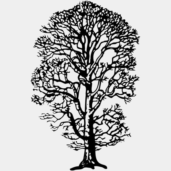 TREE0021 Thumbnail