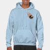 Heavy Blend Adult Hooded Sweatshirt Thumbnail
