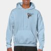 Heavy Blend Adult Hooded Sweatshirt Thumbnail