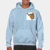 Heavy Blend Adult Hooded Sweatshirt Thumbnail