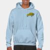 Heavy Blend Adult Hooded Sweatshirt Thumbnail