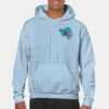 Heavy Blend Adult Hooded Sweatshirt Thumbnail