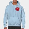 Heavy Blend Adult Hooded Sweatshirt Thumbnail