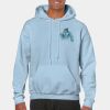 Heavy Blend Adult Hooded Sweatshirt Thumbnail