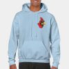 Heavy Blend Adult Hooded Sweatshirt Thumbnail
