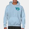 Heavy Blend Adult Hooded Sweatshirt Thumbnail