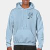 Heavy Blend Adult Hooded Sweatshirt Thumbnail