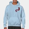 Heavy Blend Adult Hooded Sweatshirt Thumbnail