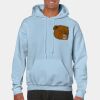 Heavy Blend Adult Hooded Sweatshirt Thumbnail