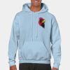 Heavy Blend Adult Hooded Sweatshirt Thumbnail