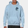 Heavy Blend Adult Hooded Sweatshirt Thumbnail
