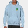 Heavy Blend Adult Hooded Sweatshirt Thumbnail