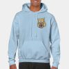 Heavy Blend Adult Hooded Sweatshirt Thumbnail