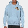 Heavy Blend Adult Hooded Sweatshirt Thumbnail