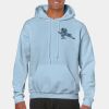 Heavy Blend Adult Hooded Sweatshirt Thumbnail