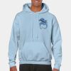 Heavy Blend Adult Hooded Sweatshirt Thumbnail