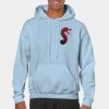Heavy Blend Adult Hooded Sweatshirt Thumbnail