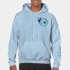 Heavy Blend Adult Hooded Sweatshirt Thumbnail