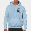 Heavy Blend Adult Hooded Sweatshirt Thumbnail