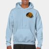 Heavy Blend Adult Hooded Sweatshirt Thumbnail