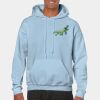 Heavy Blend Adult Hooded Sweatshirt Thumbnail