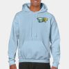 Heavy Blend Adult Hooded Sweatshirt Thumbnail