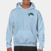 Heavy Blend Adult Hooded Sweatshirt Thumbnail