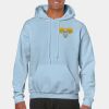 Heavy Blend Adult Hooded Sweatshirt Thumbnail