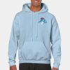 Heavy Blend Adult Hooded Sweatshirt Thumbnail