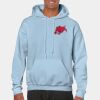 Heavy Blend Adult Hooded Sweatshirt Thumbnail