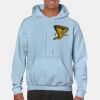 Heavy Blend Adult Hooded Sweatshirt Thumbnail