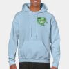 Heavy Blend Adult Hooded Sweatshirt Thumbnail