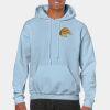 Heavy Blend Adult Hooded Sweatshirt Thumbnail