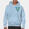 Heavy Blend Adult Hooded Sweatshirt Thumbnail