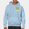 Heavy Blend Adult Hooded Sweatshirt Thumbnail