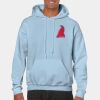 Heavy Blend Adult Hooded Sweatshirt Thumbnail
