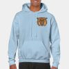 Heavy Blend Adult Hooded Sweatshirt Thumbnail